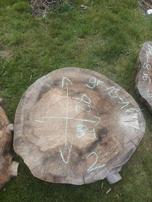 Plastry drewna... Sprzedam