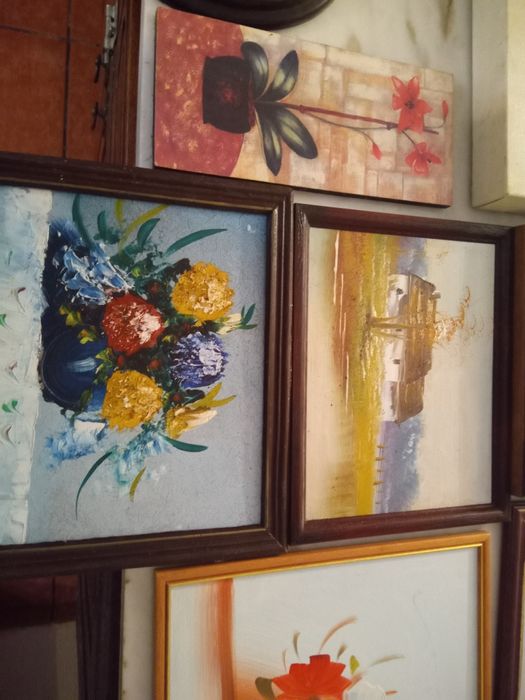 Conjunto de 13 Quadros Decorativos