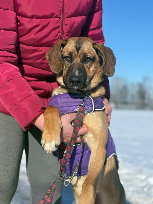 Roczna Opuncja niecierpliwie wypatruje domu na stałe