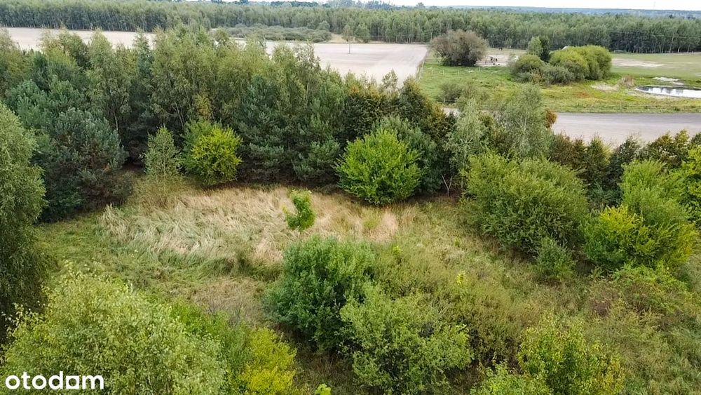 Zdjęcie 5