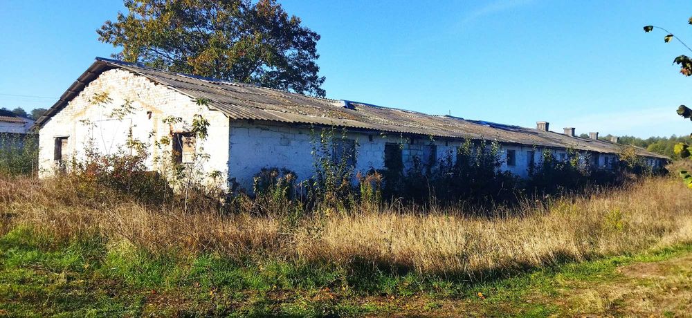 Продам приміщення (раніше свинарники) с.Стадниця, вул.Зарічна 1