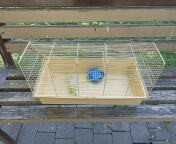 клітка для щурів, хом'яків, ласок, горностаїв