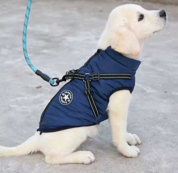 Одежда для собак. S.