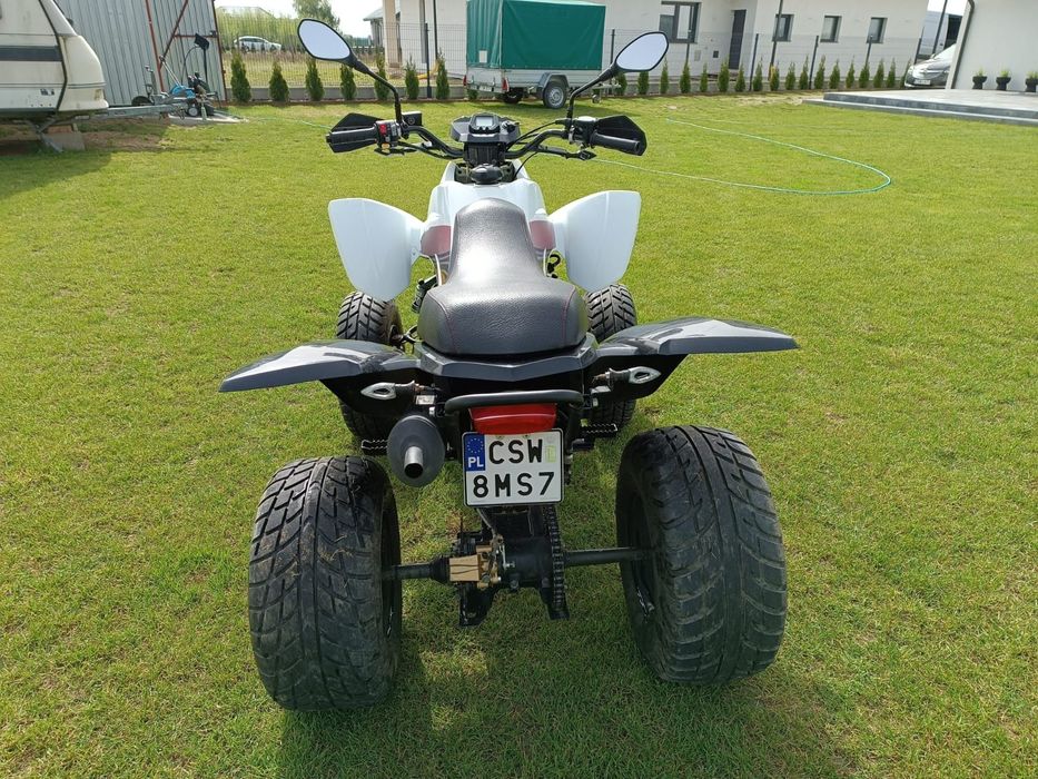 Quad Dinli Dl 801-300 2013