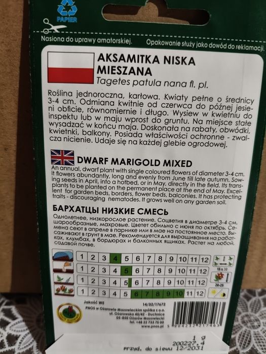 Aksamitka niska mix nasiona