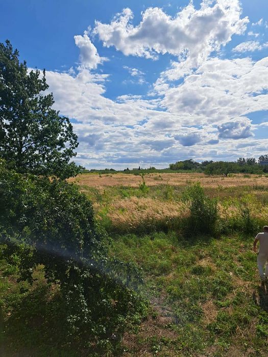 Działka 3700m2 z WZ na dom jednorodzinny i budynek gosp.