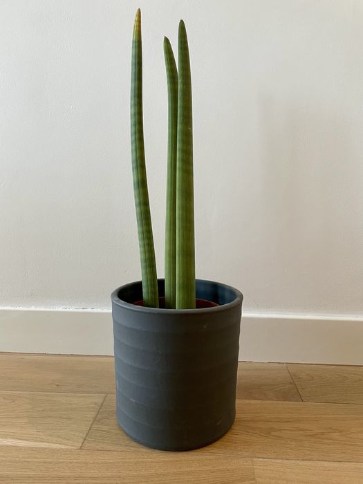 Vaso cerâmica cinzento | Artevasi