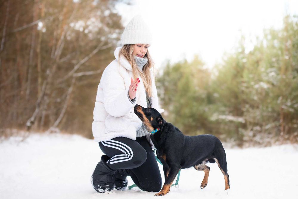 Corly: uległy i pozytywny przytulas