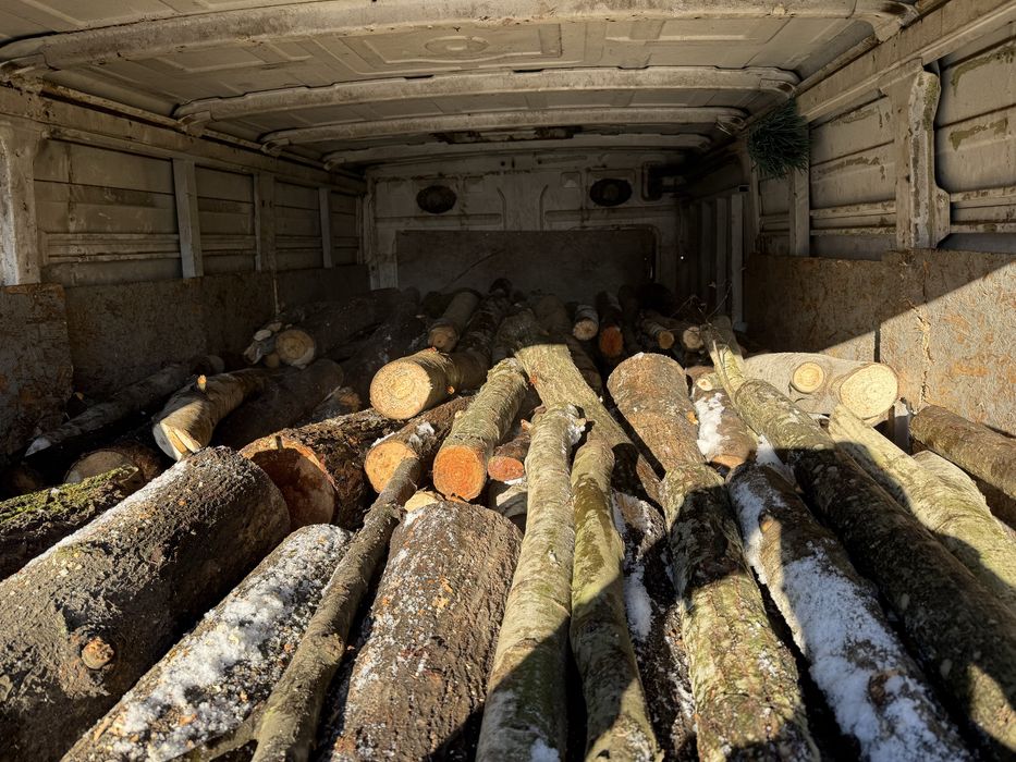 Продам дрова породи осика,вільха з доставкою