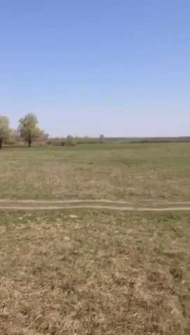 Рудня  земля 65 соток .