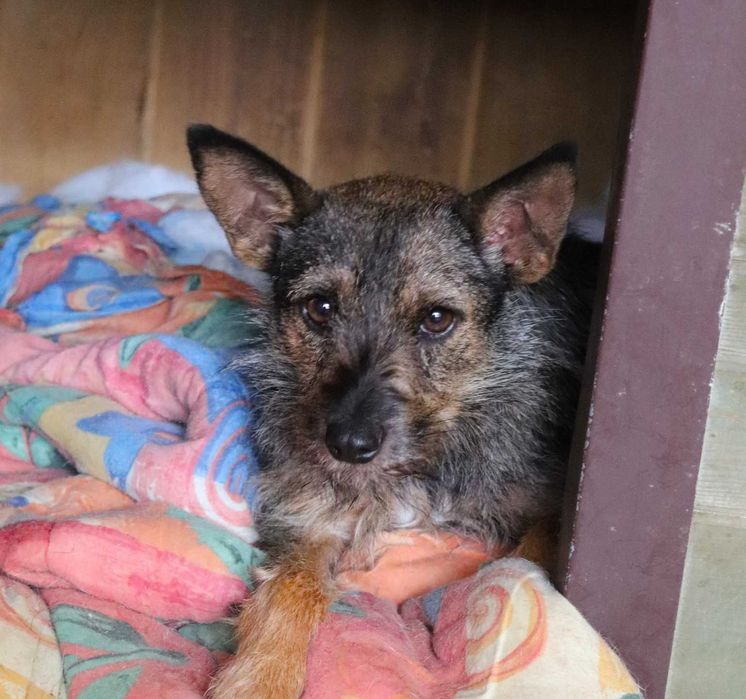 Ikona szuka spokojnego domu