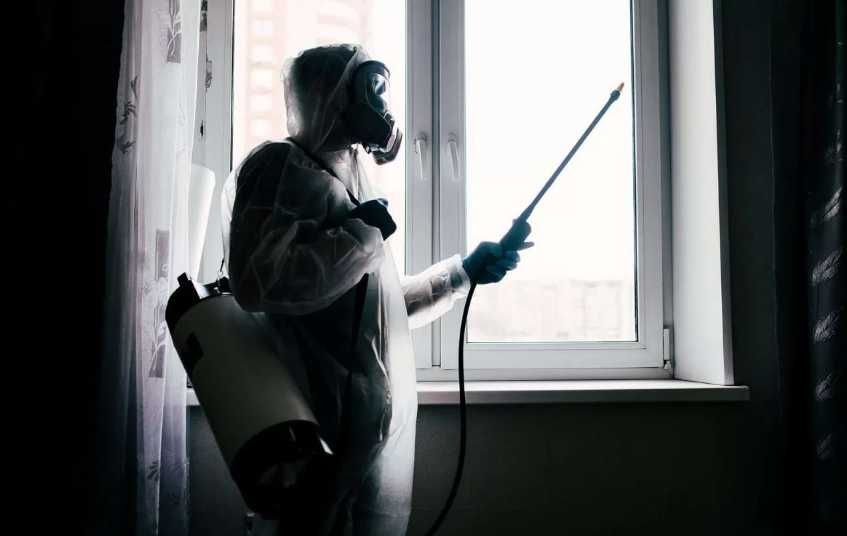 Обработка от тараканов профессиональная дезинфекция помещений
