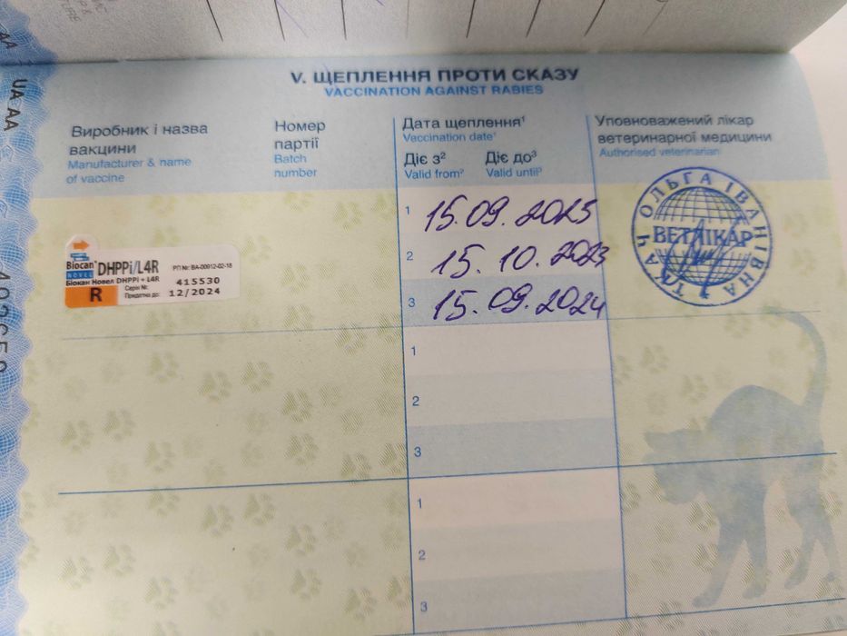 В'язка Мальтійська балонка.