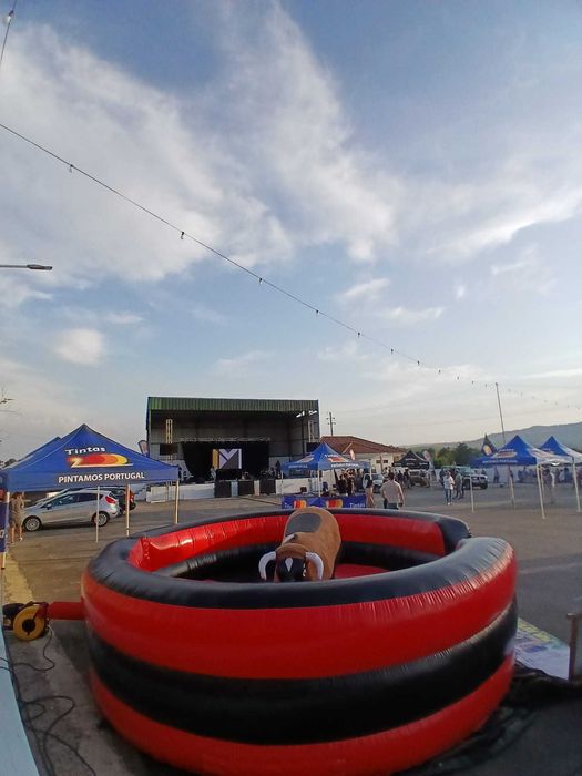 Touro mecanico, surf mecanico , insuflaveis , festa da espuma