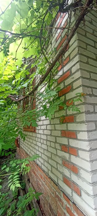 Продам дачу в 5 км от города