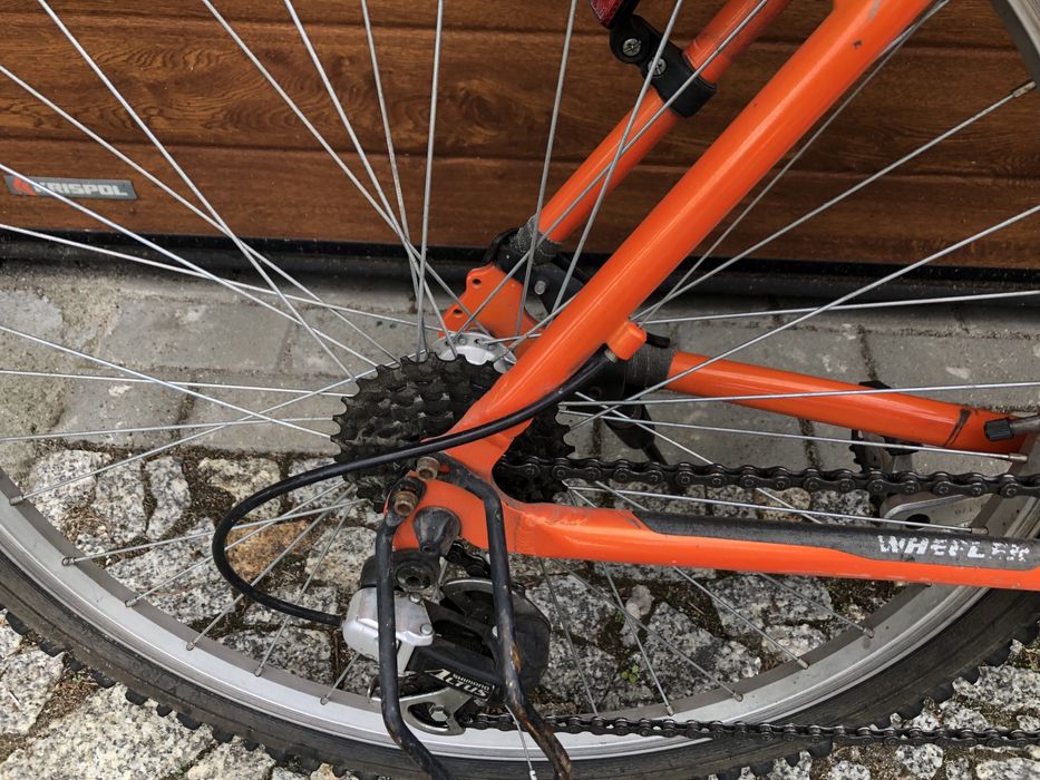 Rower Wheller Sidney 26 cali