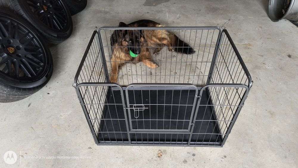 Klatka, kojec, zagroda dla psa.