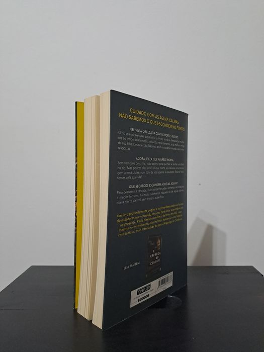 Escrito na água - Paula Hawkins