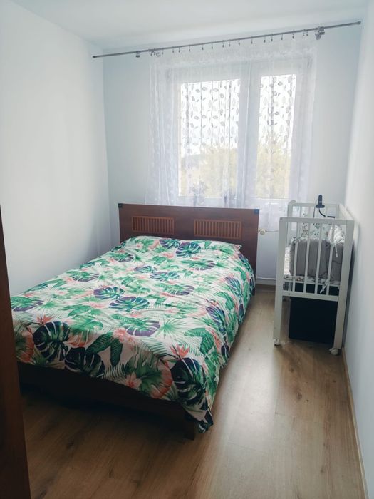 Zdjęcie 3