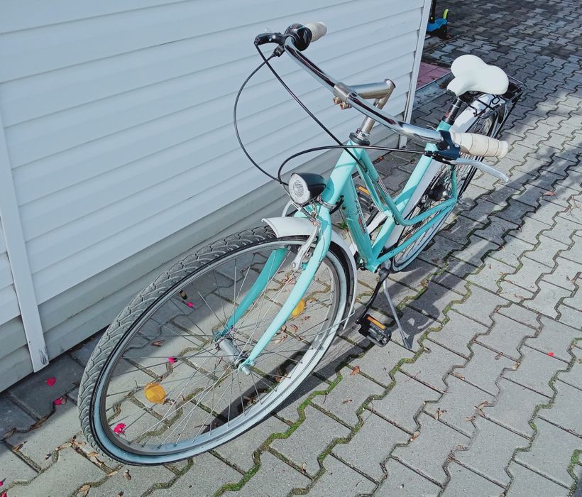 Rower retro vintage 29"