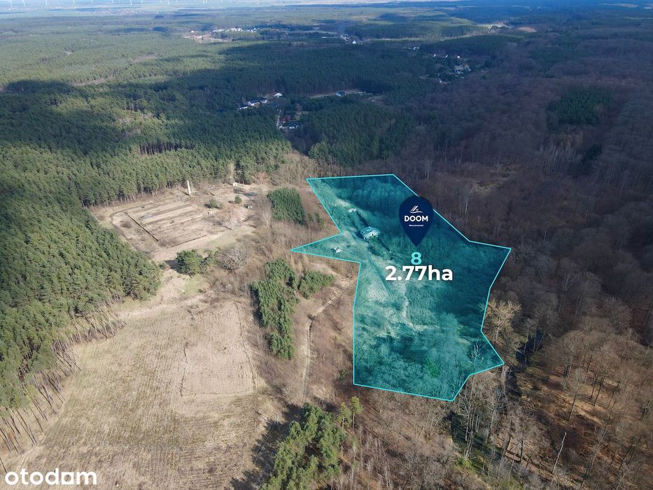 Na Sprzedaż Działka 2,77 Ha | Mpzp | Inwestycja | Przy Granicy