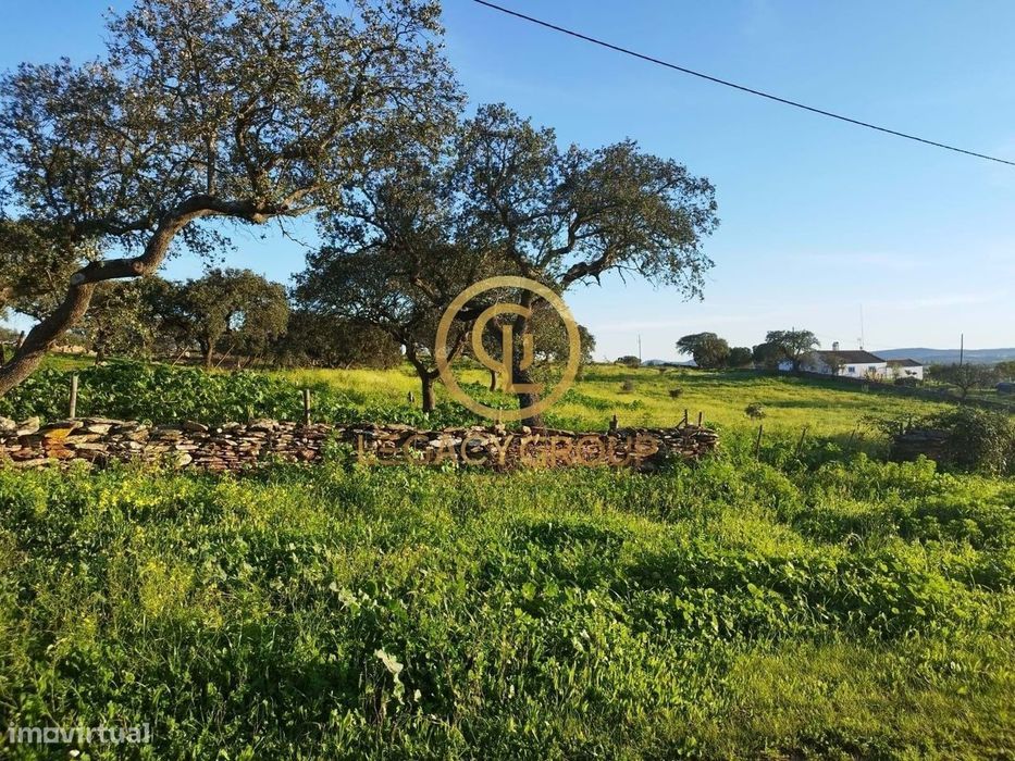 Terreno Com 13.250M2 Em Cabeça De Carneiro — Santiago Maior, Évora