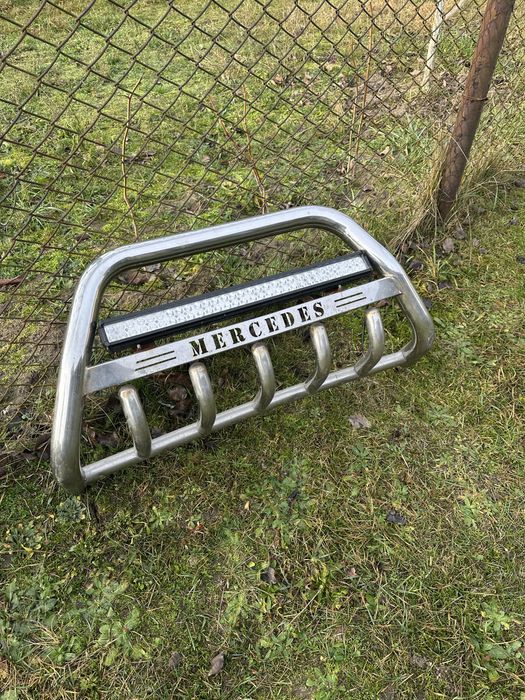 Кінгурятнік на віто 639