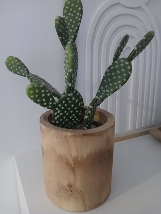 Vendo vaso de madeira com cacto em bom estado