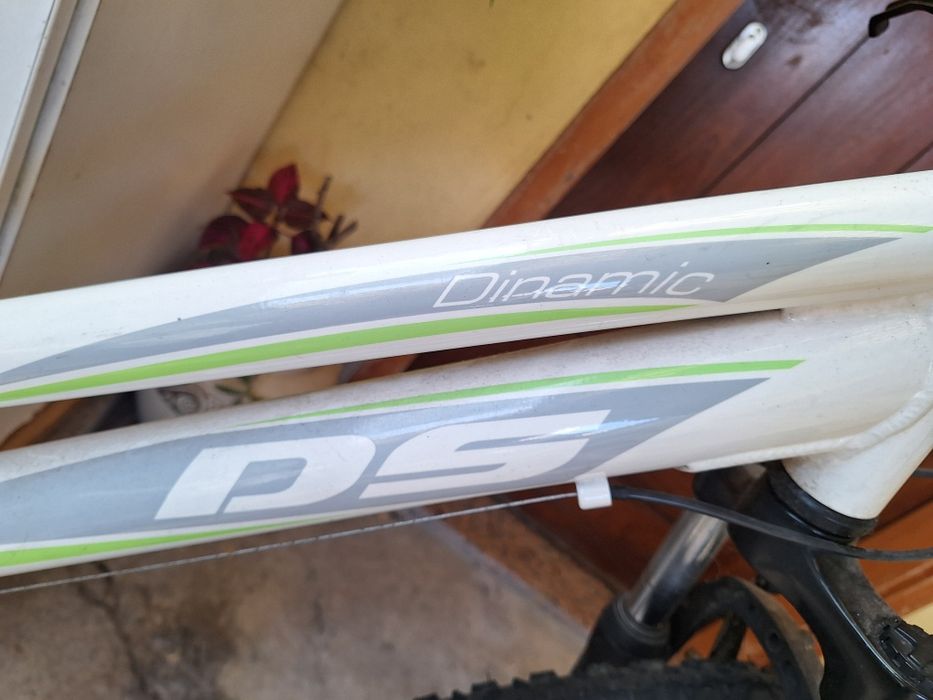 Bicicleta Dinamic Ds
