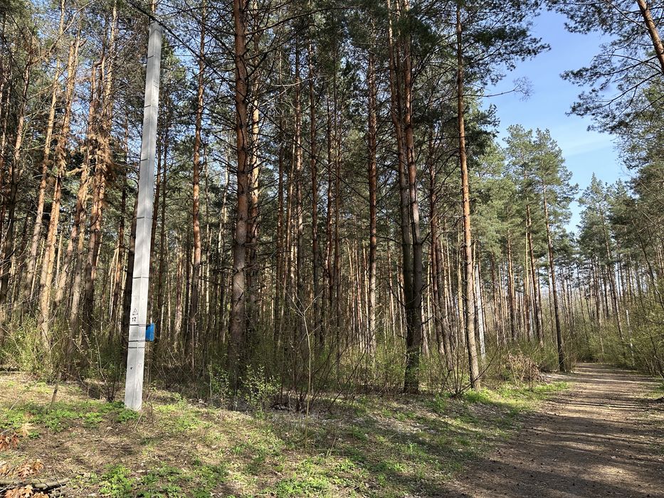 Ділянка 1 гектар в елітному районі Дмитрівки, ліс, асфальт, електрика