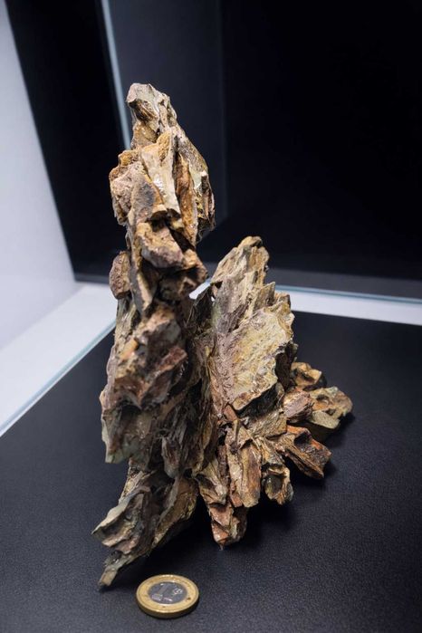 Hardscape Dragon Stone "Dragon’s Wing" Akwarium Kostka