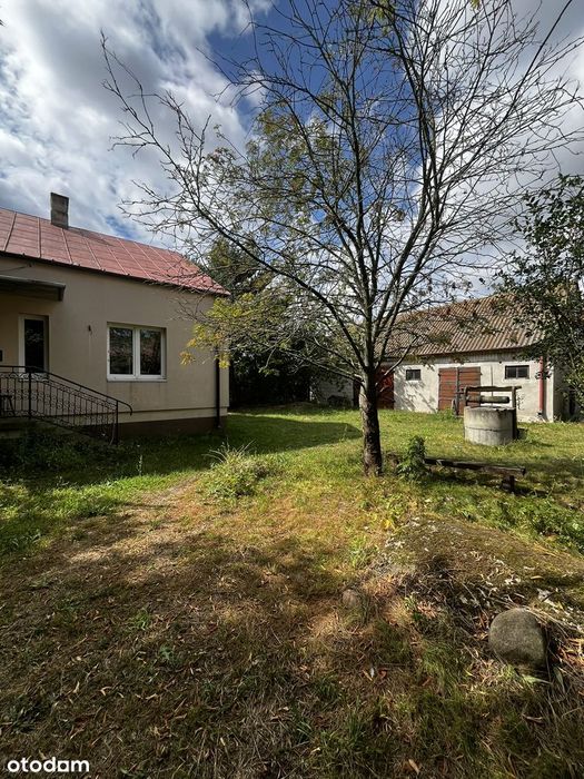 Na sprzedaż siedlisko Grzybów gm. Sanniki