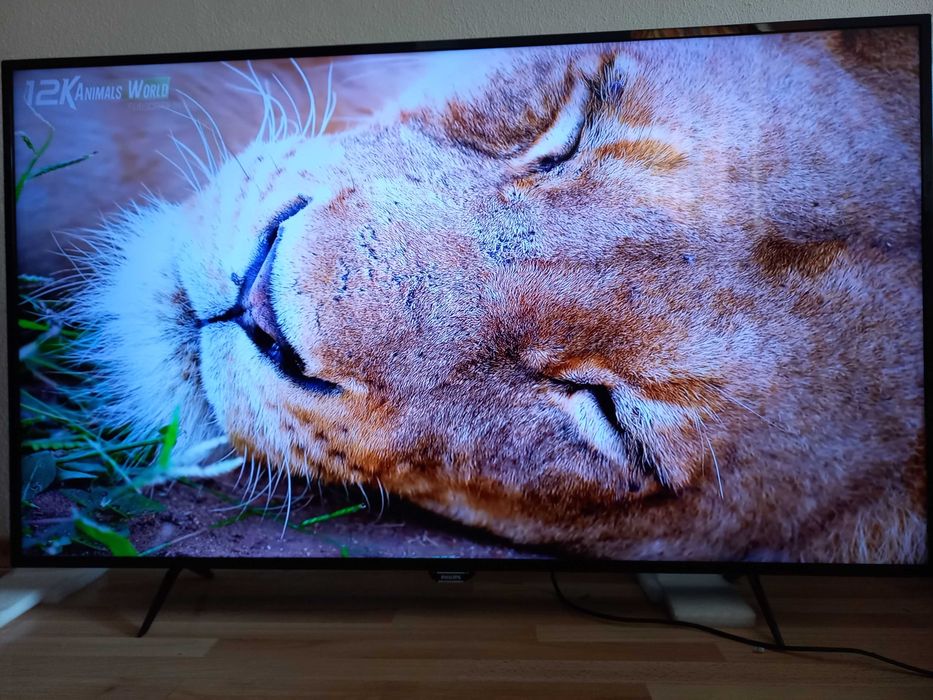 Telewizor LED Philips 55PUS6101 UHD  4K WiFi DVB T-2 YouTube Netflix
