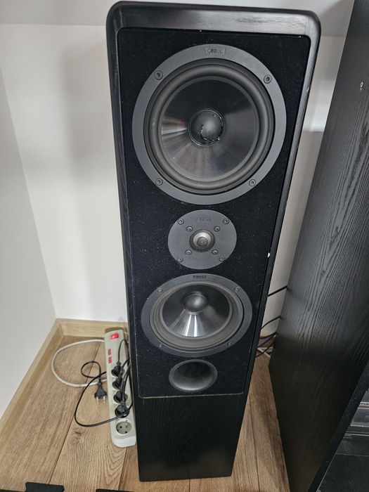 Wieża Technics w szafce i kolumny Canton Ergo