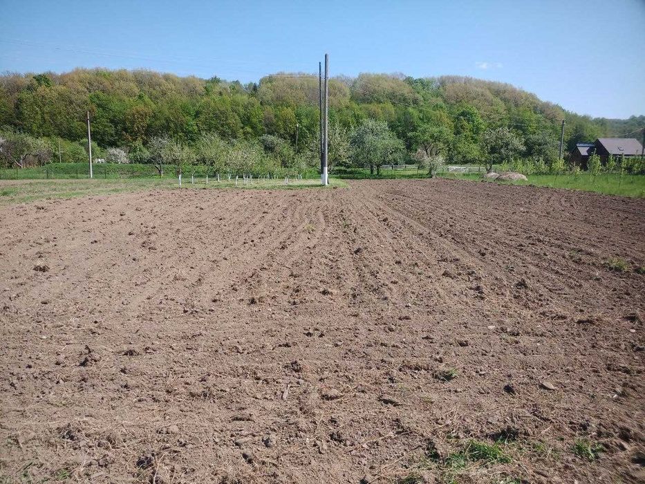 Продаж землі сільськогосподарського призначення, Чернівецька, Іспас, Назарія Яремчука вулиця