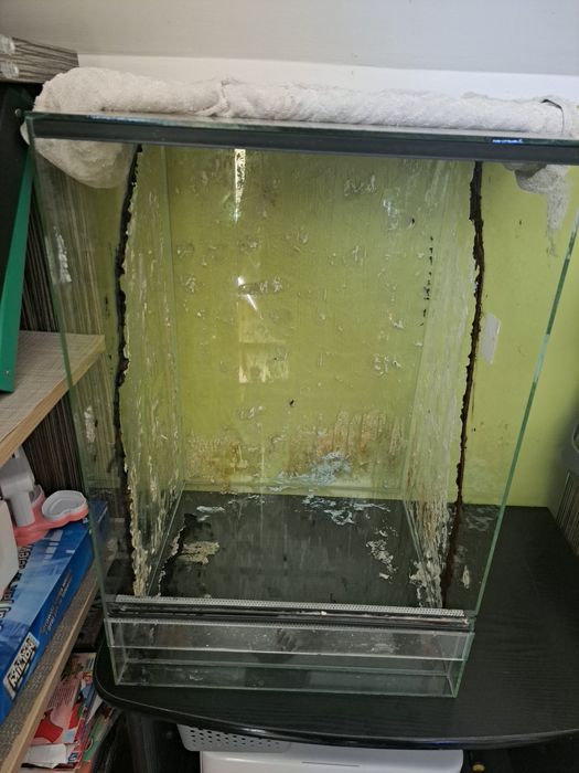 Terrarium dla gekona