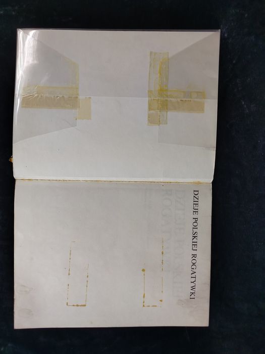 Dzieje Polskiej Rogatywki