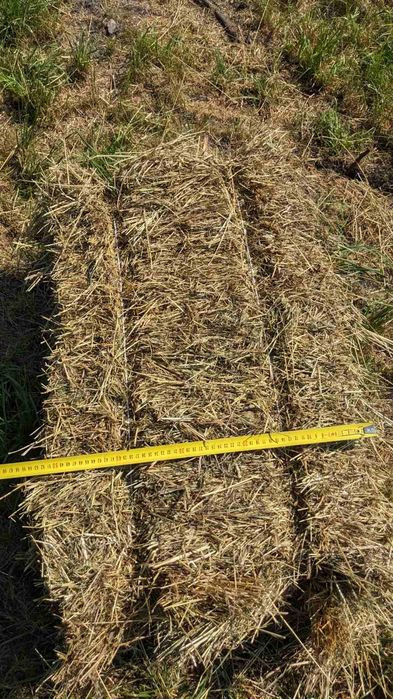 Сіно в тюках 90*60*35см