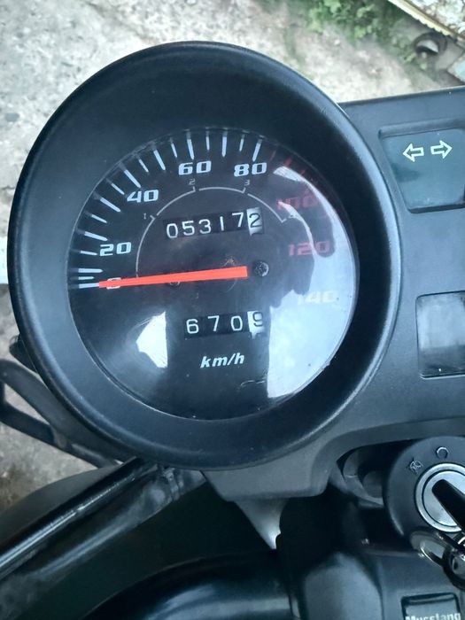 Musstang dingo 125