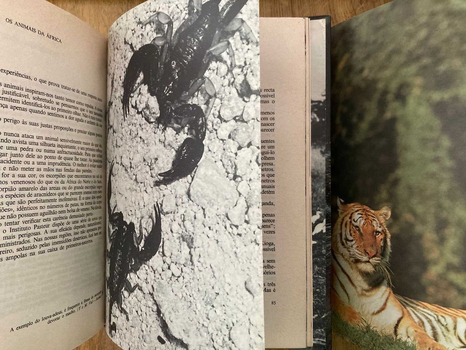 Os Grandes Enigmas da Vida dos Animais - volumes 1 e 2