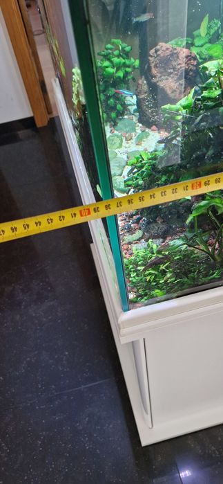 Vendo Aquário em muito bom estado