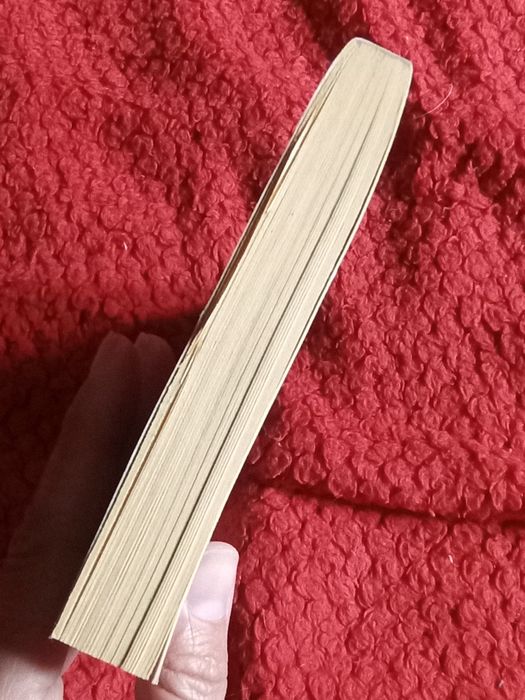Livro saber estar de Vicky Fernandes