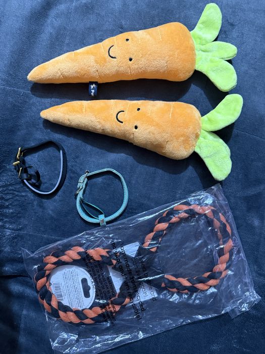 Іграшки для собак та ошийники для дрібних тварин