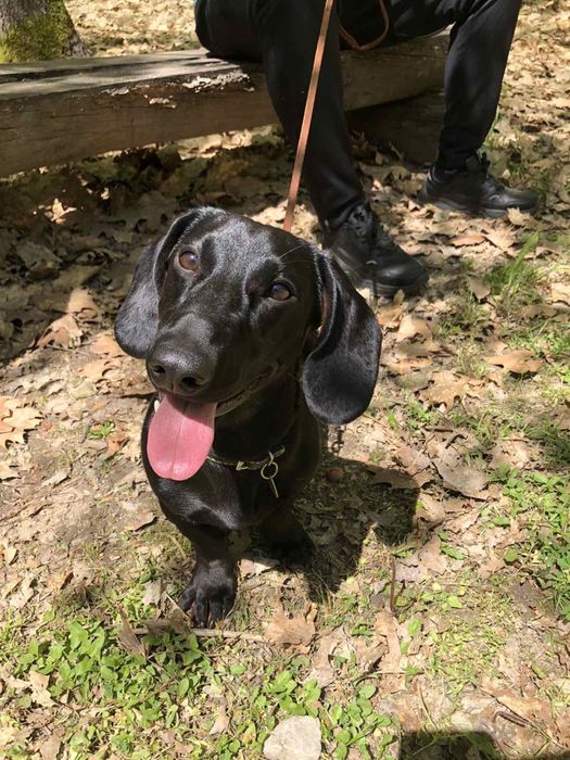 Вʼязка такси