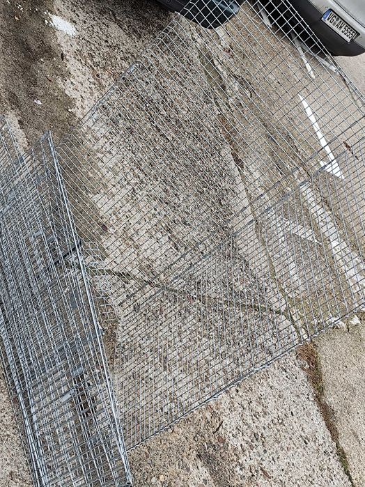 klatka pułapka dla kota