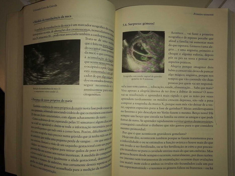 Livro " O grande livro da grávida"