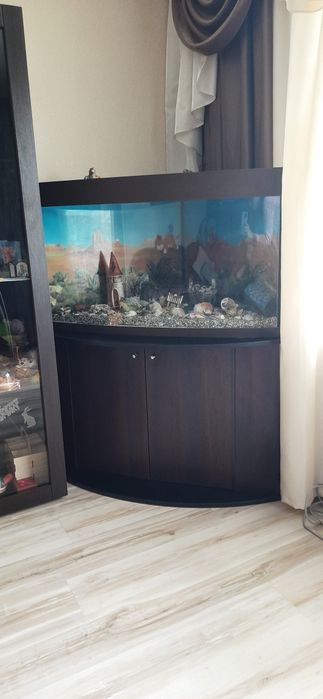 Продам угловой аквариум 360 л.