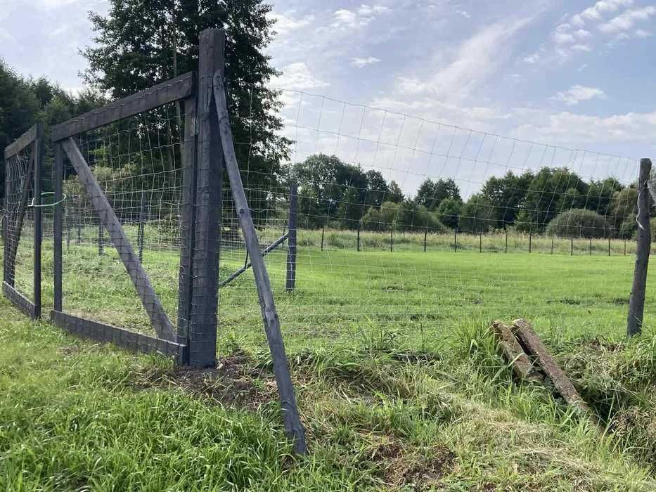 Tanie ogrodzenia tymczasowe budowlane z siatki leśnej