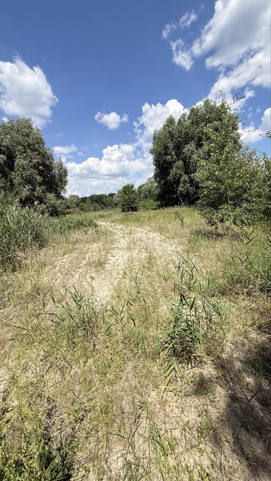 Продаж Ділянки  34,4га +14,34 га, біля  "Dreamland", с. Нові Безрадичі
