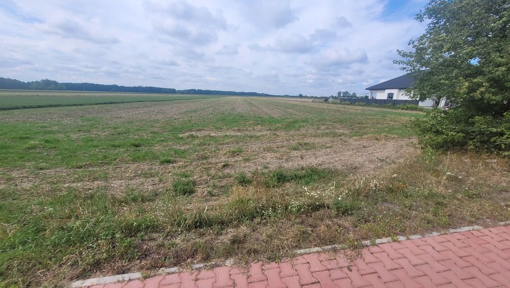 Dwie działki na sprzedaż – łącznie 2,21 ha | Paciorkowa Wola Nowa (gm. Zwoleń)